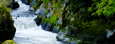 footer image